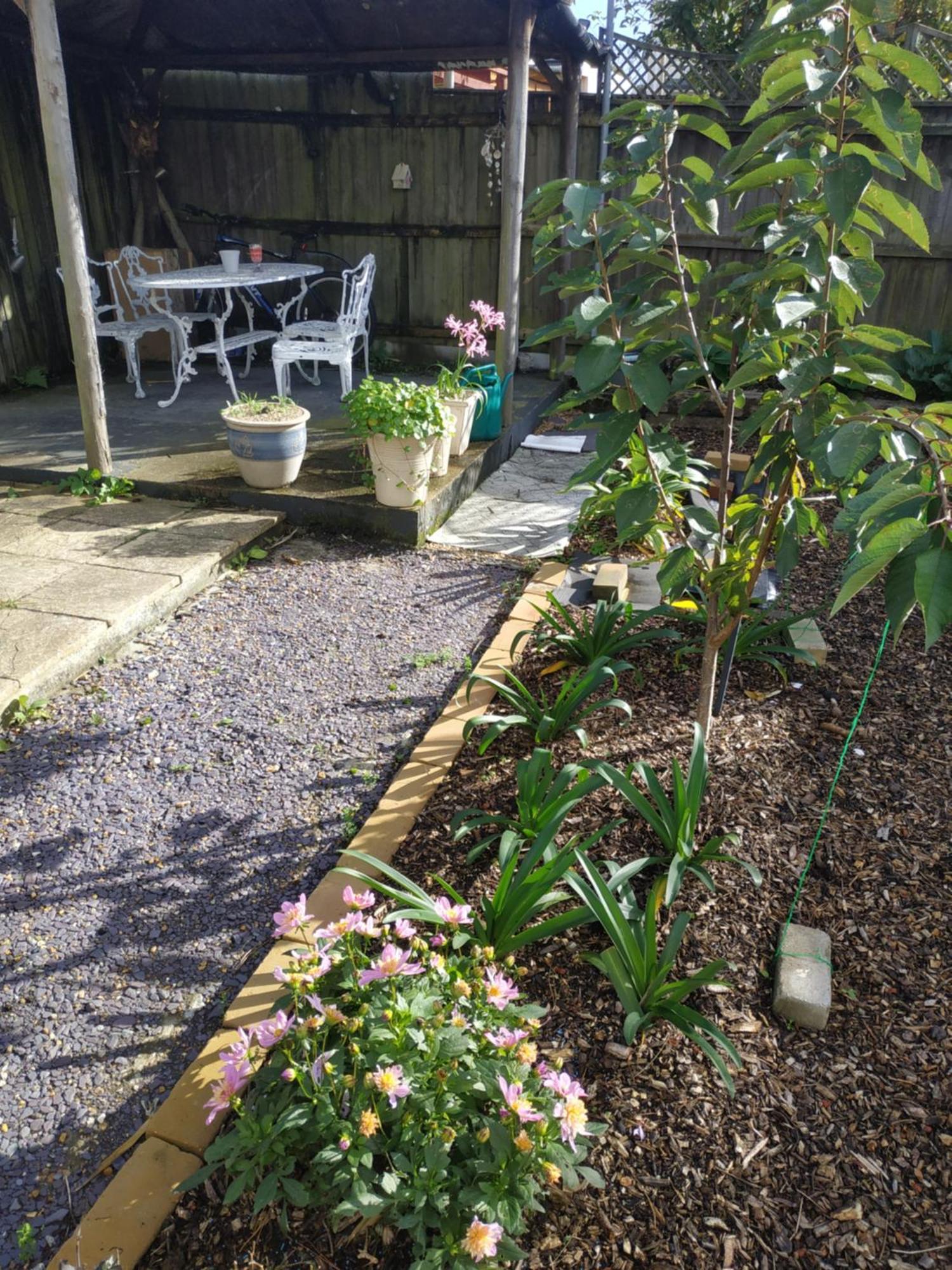 Spring Lodge Bournemouth Buitenkant foto
